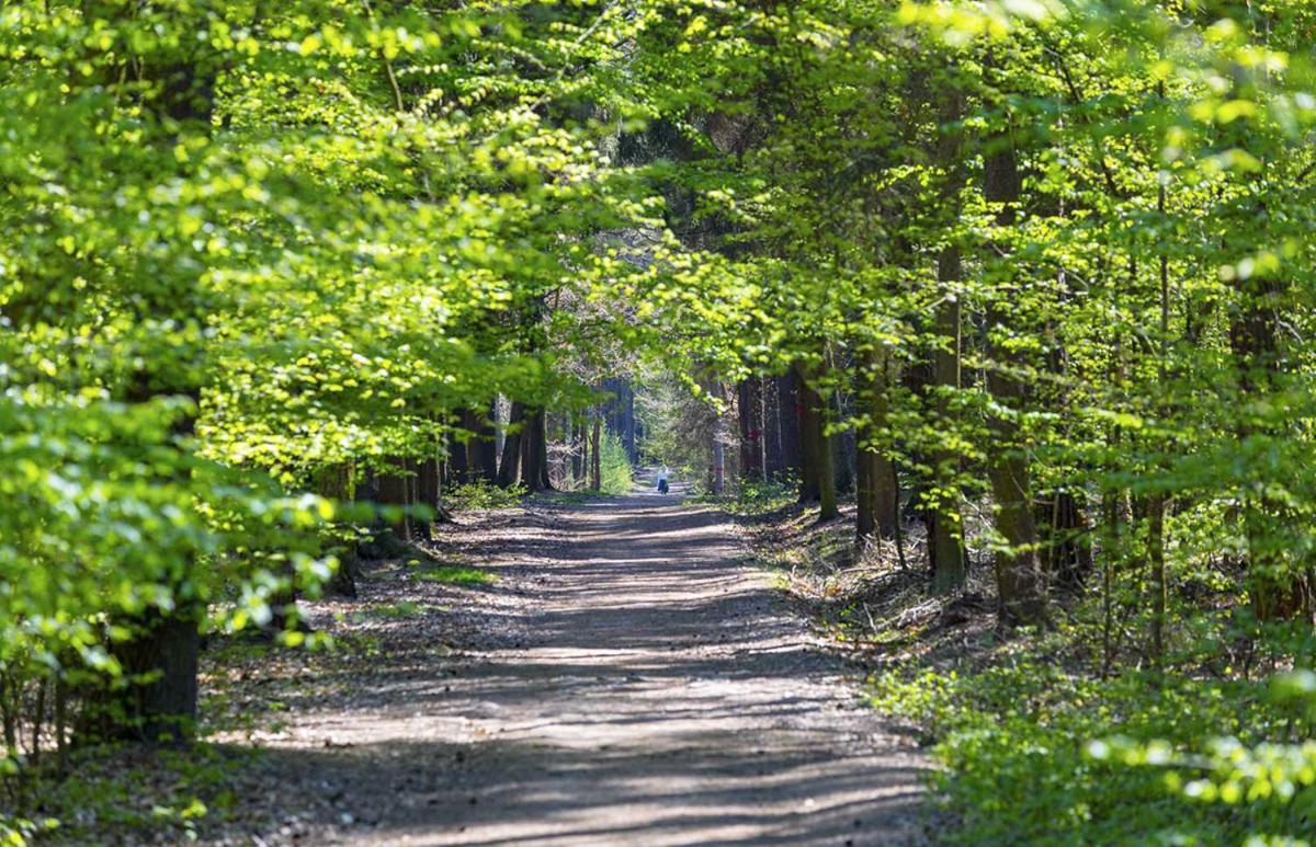 Laskara Garden By Prague Forest * Nove Jirny