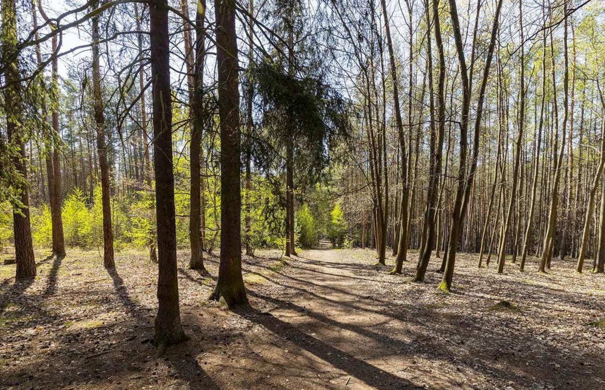 Laskara Garden By Prague Forest *